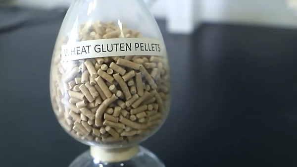 Vital Wheat Gluten pellets.png