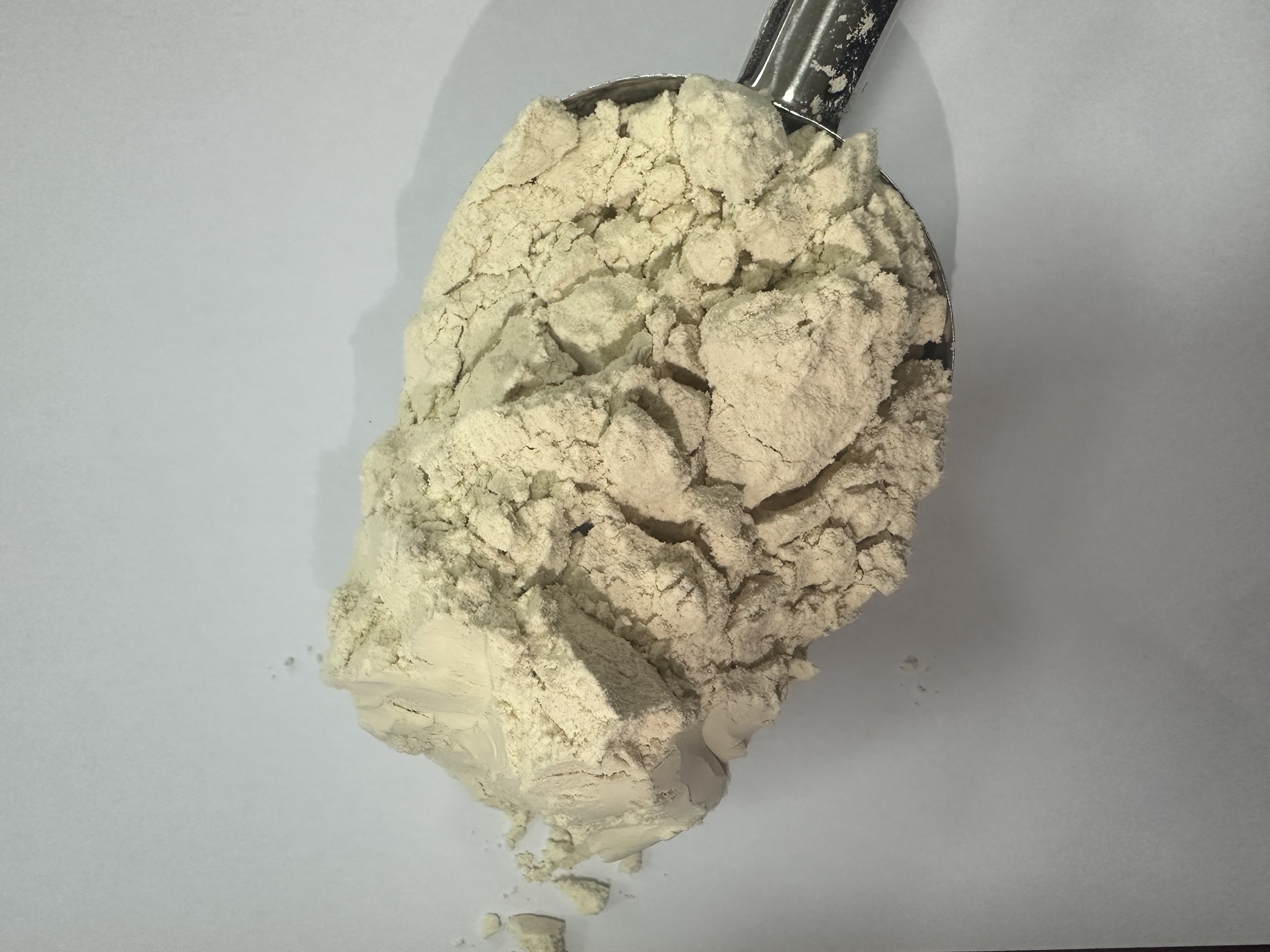 Prote&iacute;na Hidrolisada de Trigo