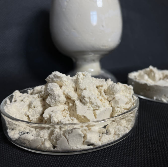 Concentrado de Proteína de Soja (NÃO OGM)