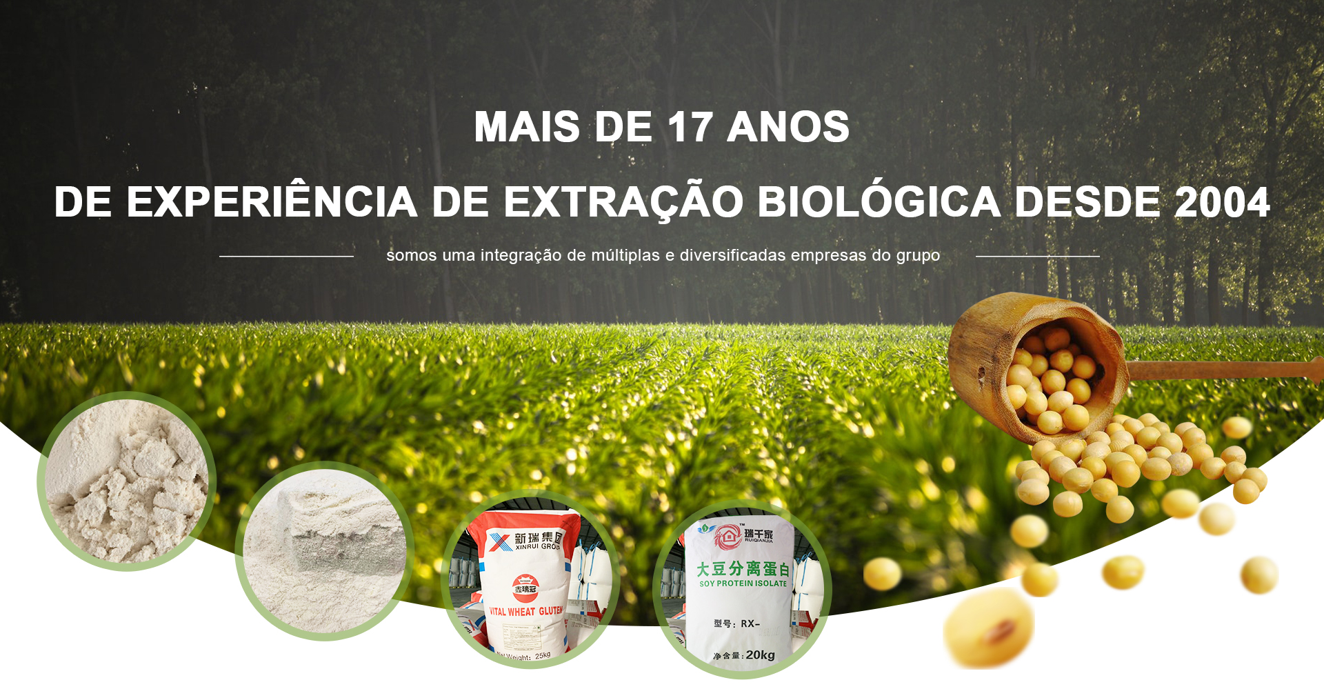 PU山东嘉华油脂有限公司banner(1)