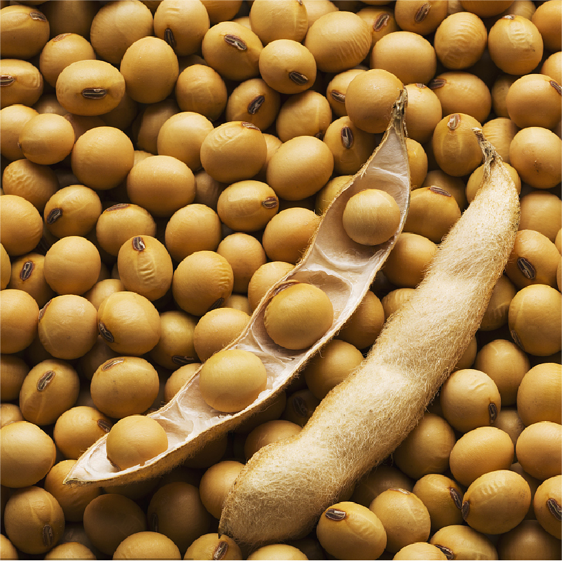 Quanta proteína há em 100g de carne de soja?