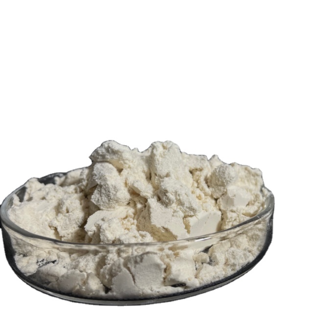 Concentrado de Proteína de Soja (NÃO OGM)