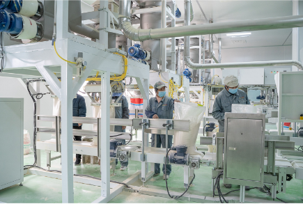 P&oacute; de gl&uacute;ten de trigo vital