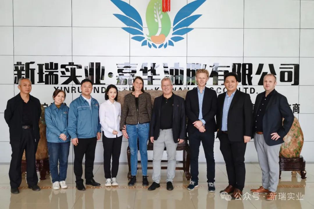 Construindo confiança e cooperação: clientes europeus visitam a fábrica de glúten de trigo Vital para auditoria aprofundada