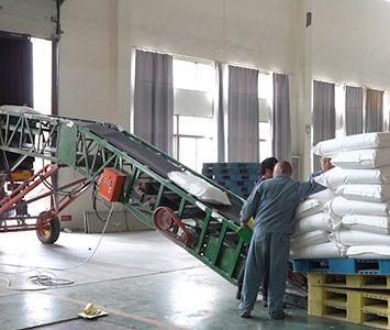 fábrica de proteínas de trigo hidrolisada