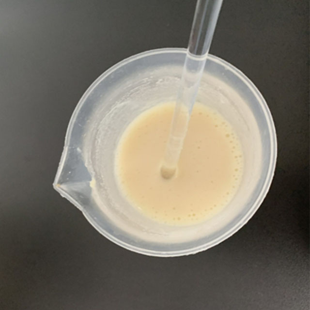Quais são os benefícios da proteína isolada de soja?